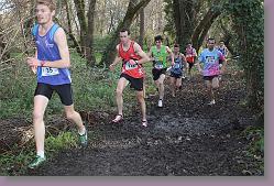 Begles 15.12.13 01 1045 * 679 x 453 * (182KB)